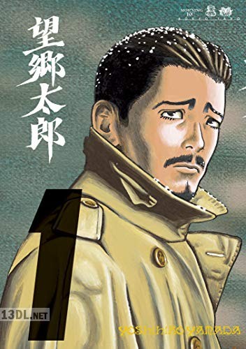 [山田芳裕] 望郷太郎 第01-14巻