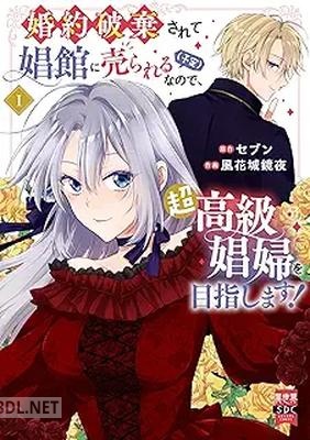 [風花城鏡夜×セブン] 婚約破棄されて娼館に売られる（予定）なので、超高級娼婦を目指します！ 第01巻