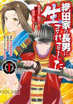 [逸見兎歌×大沼田伊勢彦] 織田家の長男に生まれました 第01-11巻