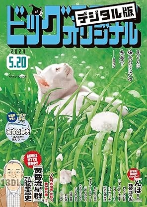 ビッグコミックオリジナル 2025年06号